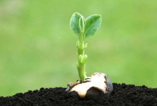全項目土壤肥料養分檢測儀