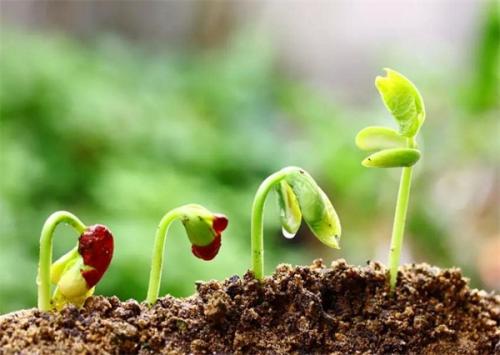 土壤肥料檢測儀 土壤肥料檢測儀